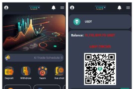 海外项目虚拟币交易投资理财系统/区块链微交易源码/带视频搭建教程