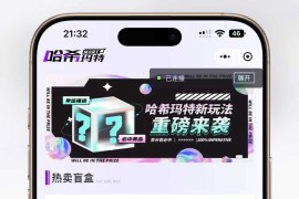 全新HashMart全开源盲盒系统源码