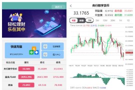 全新优化版八国语言微盘系统/外汇微交易系统/投资理财源码/带视频搭建教程