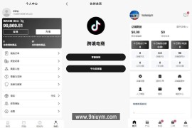 多语言国际版TikTok抖音商城带商家客服版TikTok跨境商城源码内嵌tiktok内置客服文本说明