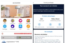 海外英语投资理财系统源码/海外产品投资系统/项目投资源码/带视频搭建教程