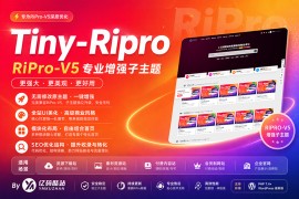 Tiny-RiPro子主题下载｜RiPro-v5主题增强美化+营销转化+高转化资源站必备