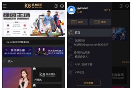 包网项目K8娱乐城全开源代码/凯8娱乐城源码/前端pc和h5都是开源的vue工程文件/带视频搭建教程
