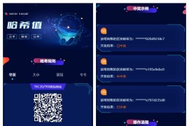 前端vue版哈希竞猜源码/区块链哈希值游戏/usdt/trx双玩法
