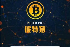 华登彼特猪区块系统源码猪猪传说区块链源码