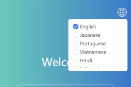 VUE版嗨淘多语言订单匹配系统源码