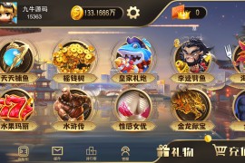 富贵5系列-富贵5-王者版本带银商端完整镜像一键搭建端，带详细搭建教程