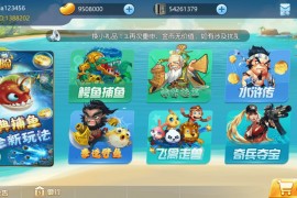 网狐二开 758电玩纯源码